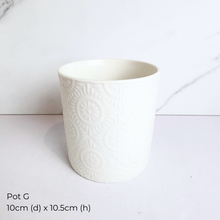 Load image into Gallery viewer, The Leaferie As-Is Feb 2025. 9 pieces items