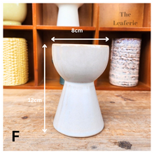 Load image into Gallery viewer, Mini Flowerpots (Series 5)