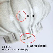 Load image into Gallery viewer, The Leaferie As-is Feb 24. Pot H