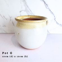 Load image into Gallery viewer, The Leaferie Asi-is Pots Nov and dec 24. 9 items.