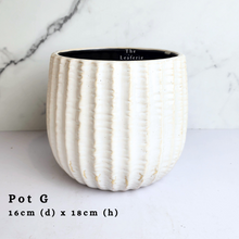 Load image into Gallery viewer, The Leaferie AS-Is May 2024. 12 pieces ceramic pots