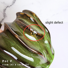 Load image into Gallery viewer, The Leaferie AS-IS october 24. 8 items