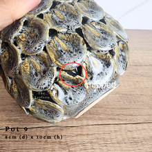 Load image into Gallery viewer, The Leaferie AS-IS Pots December 23. Pot 9