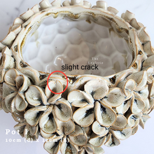 Load image into Gallery viewer, As-Is Pots Batch July 2024 (12 items)