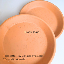 Load image into Gallery viewer, The Leaferie As-is July-aug 25. 9 items