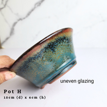 Load image into Gallery viewer, The Leaferie As-Is April 2024 flowerpots