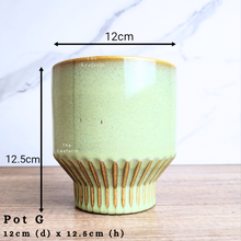 Load image into Gallery viewer, The Leaferie As-is Sale March 24. Pot G