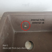 Load image into Gallery viewer, The Leaferie As-Is May 25 (9items). Defective flowerpot