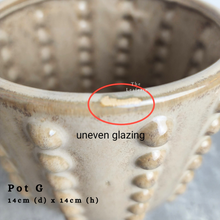 Load image into Gallery viewer, As-Is Pots Batch August 2024 (12 items)