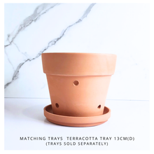 Load image into Gallery viewer, HANNA Terracotta Flowerpot with Holes (Tall) 6 sizes