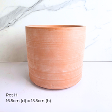 Load image into Gallery viewer, Collection of As-Is Feb 26 ceramic pots with various designs and colors Leaferie brand.