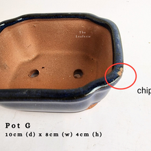 Load image into Gallery viewer, The Leaferie As-Is Batch june 2024. defective pot 12 pieces.