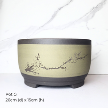 Load image into Gallery viewer, The Leaferie As-is March 25 . 9 items