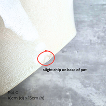 Load image into Gallery viewer, As-is Sept 26. 9 items with slight defects.