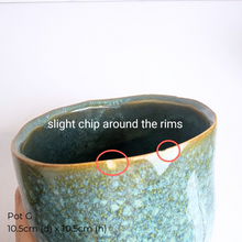 Load image into Gallery viewer, The Leaferie AS-IS Jan 25 . 9 new flowerpots