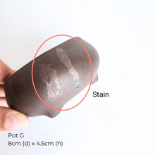 Load image into Gallery viewer, The Leaferie As-Is Pot April 25. 9 items