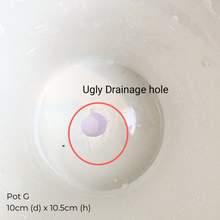 Load image into Gallery viewer, The Leaferie As-Is Feb 2025. 9 pieces items