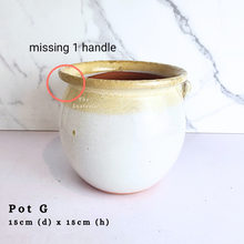 Load image into Gallery viewer, The Leaferie Asi-is Pots Nov and dec 24. 9 items.