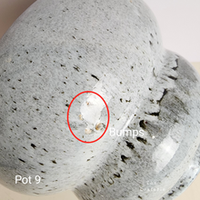 Load image into Gallery viewer, As-Is Pots Batch September 2023 (13 items)