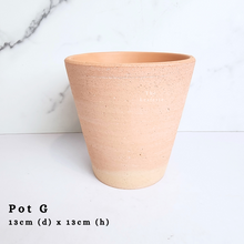 Load image into Gallery viewer, The Leaferie AS-IS october 24. 8 items