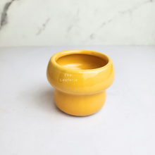 Load image into Gallery viewer, The Leaferie Liv flowerpot. 2 colours ceramic material