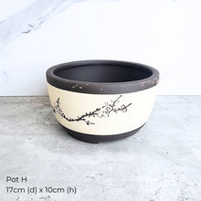 Load image into Gallery viewer, The Leaferie As-Is May 25 (9items). Defective flowerpot