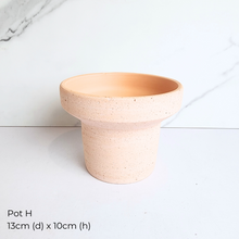 Load image into Gallery viewer, The Leaferie AS-IS Jan 25 . 9 new flowerpots