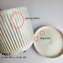 Load image into Gallery viewer, The Leaferie As-is Feb 24. Pot I