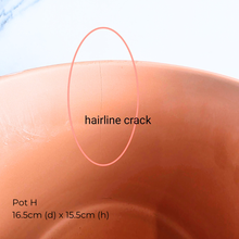 Load image into Gallery viewer, Collection of As-Is Feb 26 ceramic pots with various designs and colors Leaferie brand.