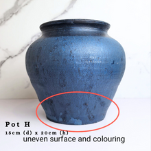 Load image into Gallery viewer, The Leaferie As-is Sale March 24. Pot H