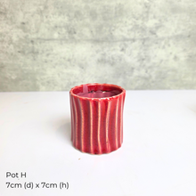 Load image into Gallery viewer, The Leaferie As-is July-aug 25. 9 items