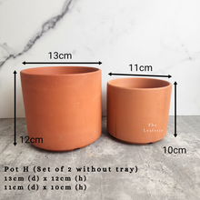 Load image into Gallery viewer, the Leaferie As-is september 2024. 12 pot