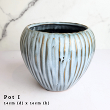 Load image into Gallery viewer, The Leaferie As-Is April 2024 flowerpots