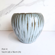 Load image into Gallery viewer, The Leaferie As-Is Feb 2025. 9 pieces items