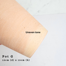 Load image into Gallery viewer, The Leaferie AS-IS october 24. 8 items