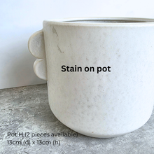 Load image into Gallery viewer, As-is Sept 26. 9 items with slight defects.