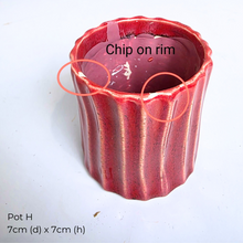 Load image into Gallery viewer, The Leaferie As-is July-aug 25. 9 items