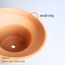 Load image into Gallery viewer, The Leaferie AS-IS Jan 25 . 9 new flowerpots