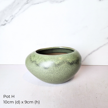 Load image into Gallery viewer, The Leaferie As-is March 25 . 9 items