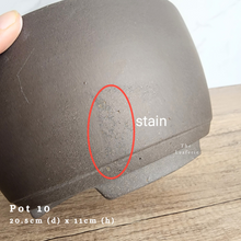 Load image into Gallery viewer, The Leaferie AS-IS Pots December 23. Pot 10