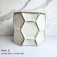 Load image into Gallery viewer, The Leaferie As-is Feb 24. Pot J