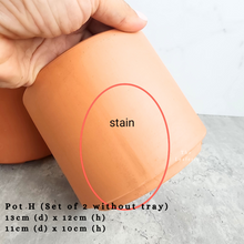 Load image into Gallery viewer, the Leaferie As-is september 2024. 12 pot