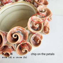 Load image into Gallery viewer, The Leaferie As-Is Batch june 2024. defective pot 12 pieces.