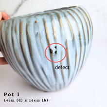 Load image into Gallery viewer, The Leaferie As-Is April 2024 flowerpots