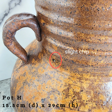 Load image into Gallery viewer, The Leaferie As-is august 24. 12 items