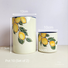 Load image into Gallery viewer, As-Is Pots Batch September 2023 (13 items)