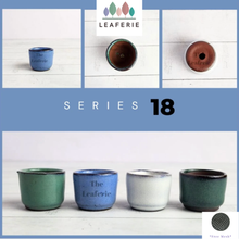 Load image into Gallery viewer, Petit Bonsai Pot (Series 18)