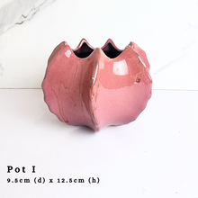 Load image into Gallery viewer, The Leaferie Asi-is Pots Nov and dec 24. 9 items.