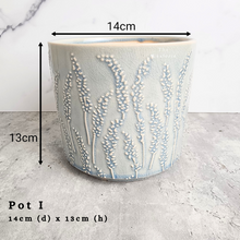 Load image into Gallery viewer, the Leaferie As-is september 2024. 12 pot