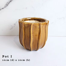 Load image into Gallery viewer, The Leaferie As-Is Batch june 2024. defective pot 12 pieces.